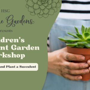 Childrens Succulent Garden Workshop- Sat 28/5 10am